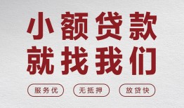 东莞25私借空放当场拿钱-东莞25快速借钱-东莞25短借公证