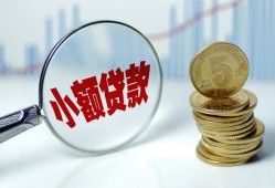 东莞25哪里可以小额贷款-东莞25哪里有民间借贷-东莞25民间短期私借借款